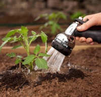 Перекись водорода для рассады