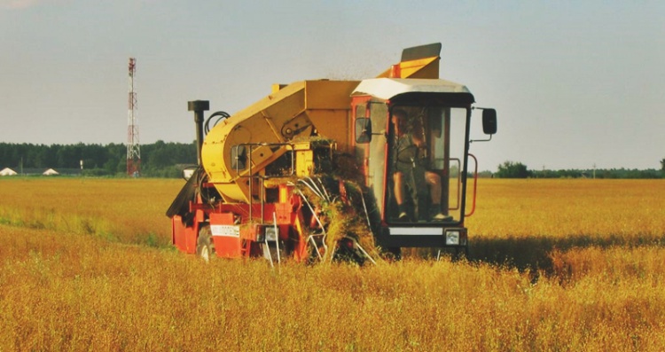 уборка льна сбор льна